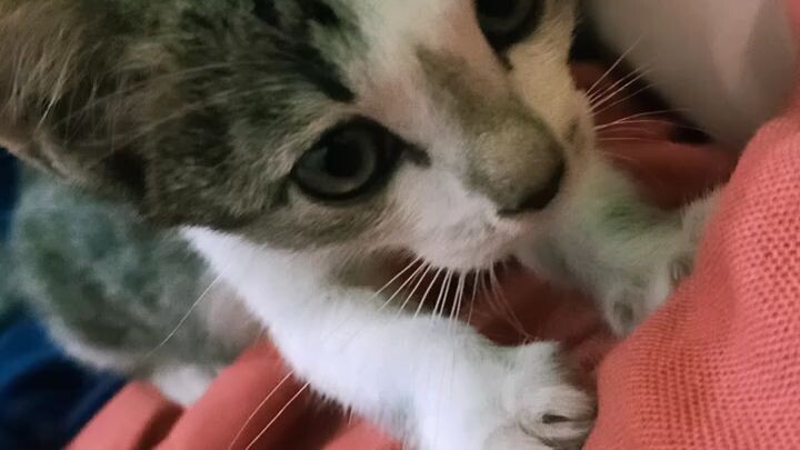 นวดๆ