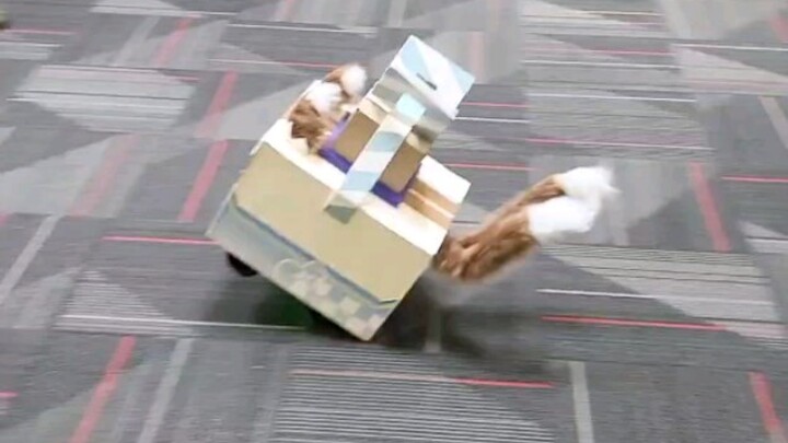You’ve got an ultra-fast Kirara cat car heading straight into the cosplay convention!