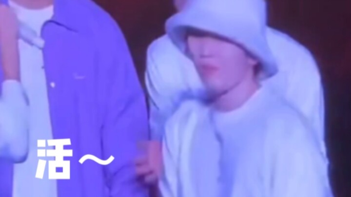 【SEVENTEEN】Min Kyu được mèo cưng ôm, Seung Woo thích quá hóa thành boo, So Min khen chị nhảy đẹp quá