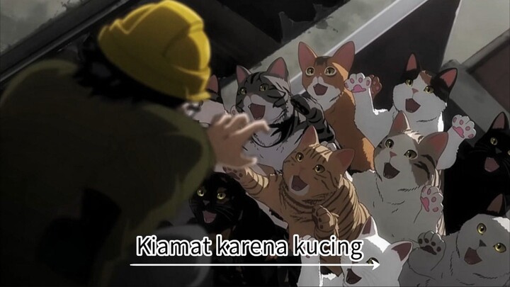 Semua manusia malah jadi kucing akibat nyentuh kucing