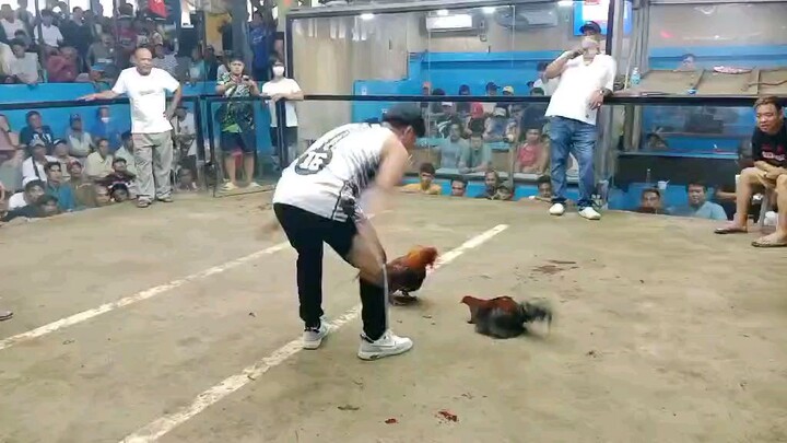 1x winner 5k sweater