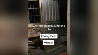 URMyFavorite LeHoiAoDaiTPHCM2022 KhongCoGiDeMac TikTokSoiPhim PhaiDepNgayNay xuhuong