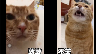 一边母慈子孝，一遍大逆不道？大家有空多关心敦妈，她老年单身生活挺不容易的！！！