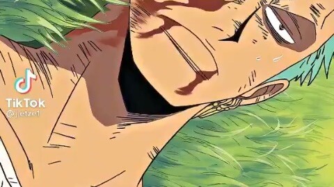 Sanji and zoro