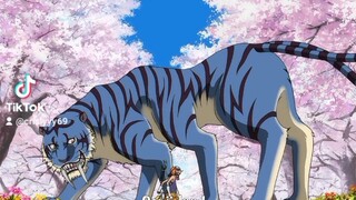 Blue Tiger with 2 tails 😱🥰