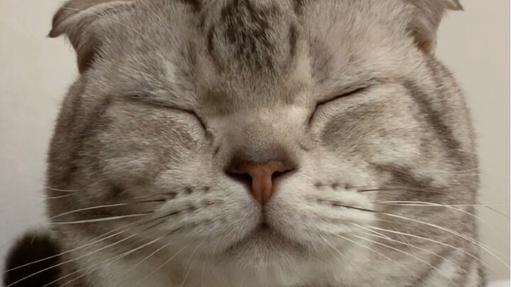 I got warmed up a bit...