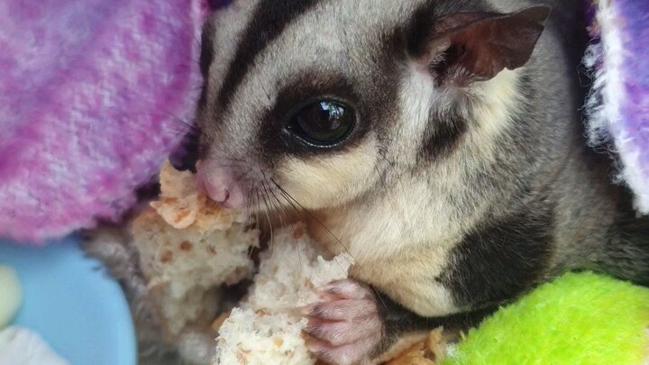 ฉันคือใคร