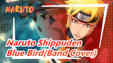 Naruto Shippuden - Blue Bird(Band Cover)