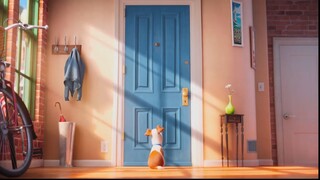 The Secret Life Of Pets _ Trailer #3 (HD) _ Illumination