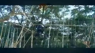 Перл Майя 2
