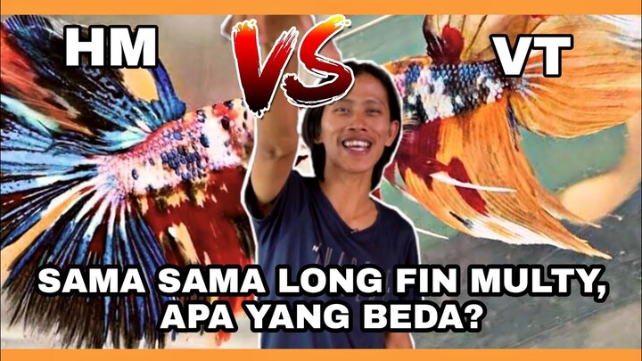 KALIAN TIM VT ATAU HM ????