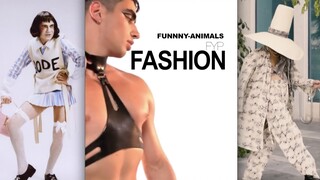 时尚可以拯救我