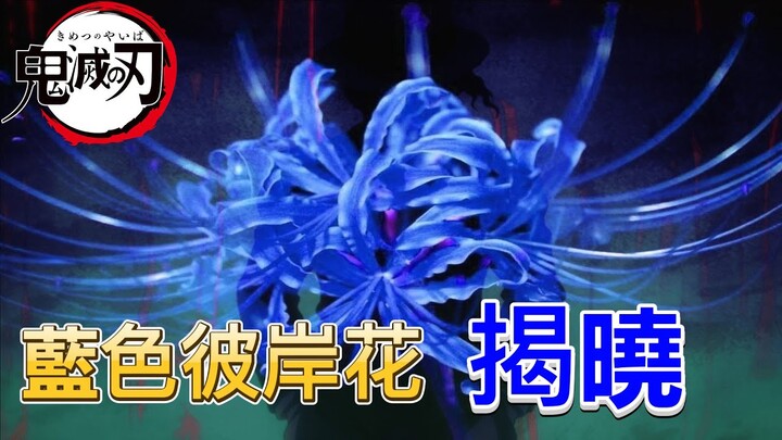 【鬼滅之刃】藍色彼岸花在哪裡？炭治郎的母親葵枝知道！