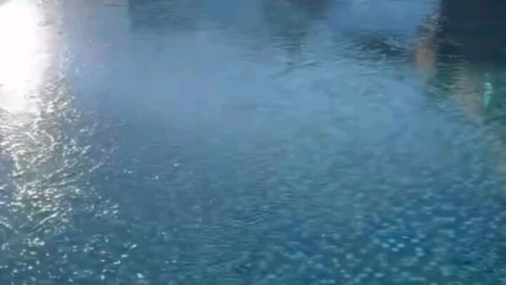 ثق بالبيانات الضخمة