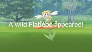 Rare Orange Flabébé  in Pokemon Go February Highlights
