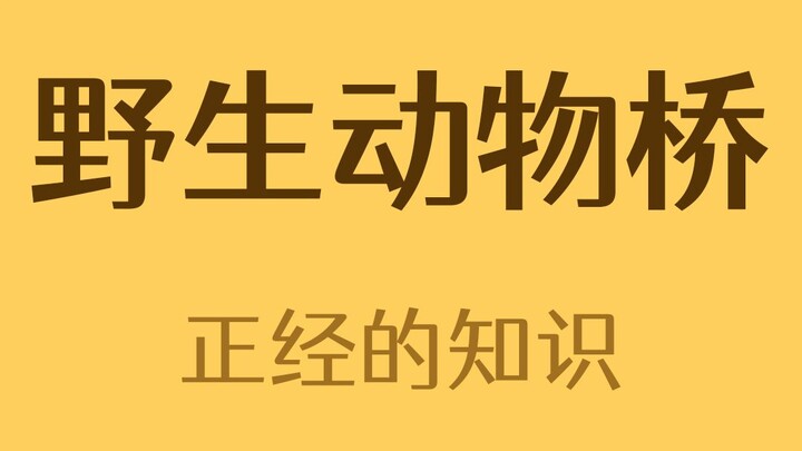 给动物们走的桥