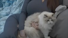 KUCINGNYA BESAR SEKALI 🍑🥵