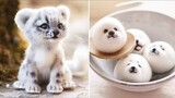 AWW SO CUTE! Cutest baby animals Videos Compilation Cute moment of the Animals - Cutest Animals #34