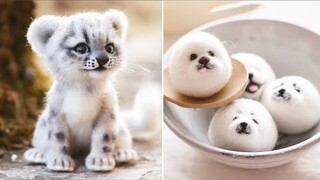 AWW SO CUTE! Cutest baby animals Videos Compilation Cute moment of the Animals 2022 #1