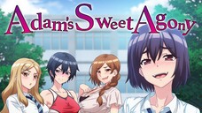 Adam's Sweet Agony- Season 1 Episode 3 [Hindi] HD
