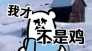 北方我来了