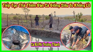 Linh Philip || Đến Thăm Ao Cá Sau Khi Thả Cá Giống Và Cái Kết Hơn Cả Sự Mong Đợi ???