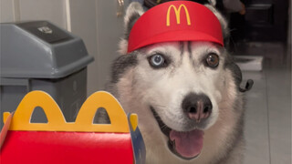 被这样盯着有点吃不下去