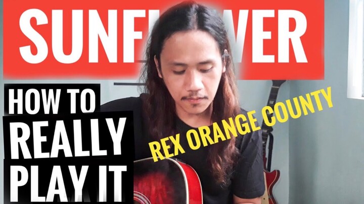 REX ORANGE COUNTY - Sunflower Guitar Chords Tutorial  | how to play Sunflower by Rex Orange County