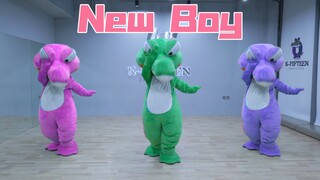 🐊 房东的猫-「New Boy」