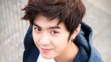What exactly changed about Chen Zheyuan's face?