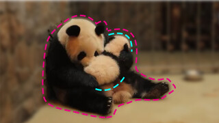 Cheng Da: Siapa yang menyebarkan gosip aku tidak mengurus anakku.