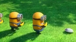 Minions walking the dog