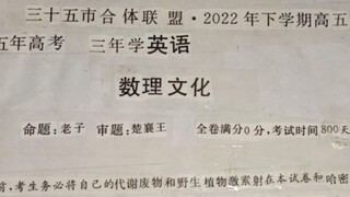 我将数十张试卷拼接成了一张试卷