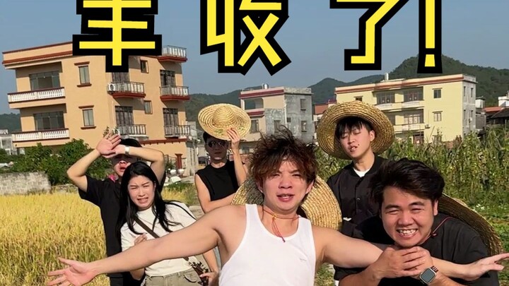 我的未来式（丰收版）