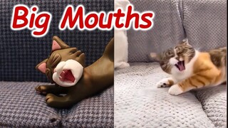 Big Mouths - Best Of The 2021 Funny Cat Videos - Funny Cartoon Parodies #1