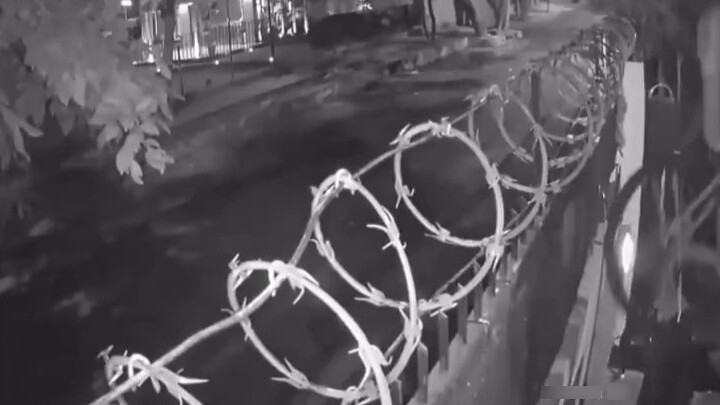 Kawat berduri tidak bisa menghentikan pembelian 0 yuan