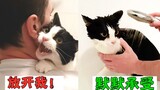 像经历了一次世界大战！猫咪洗澡前疯狂挣扎