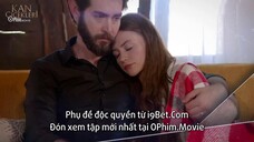 Hoa Máu EP 238 [Sub Việt]