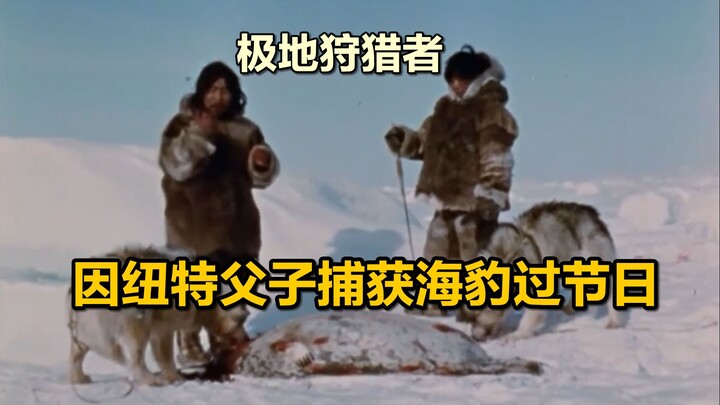 Người Inuit đón năm mới, cha con hợp lực săn được hải báo lớn, thịt hải báo hầm trong nồi đá thơm ng