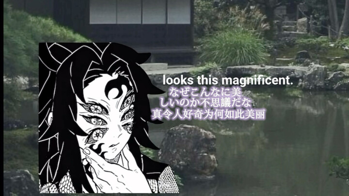 ตามไปสำรวจศาลเจ้ากับคุโระชิมูริ 2