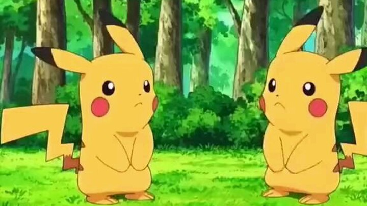 สำหรับคนชอบปิกาจู