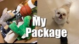 My Dog's Reaction to His Package of Toys | Cute & Funny Shih Tzu Dog Video