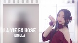 【Enolla】(｡ì _ í｡)la vie en rose(｡ì _ í｡)～～～是玫瑰人生呀