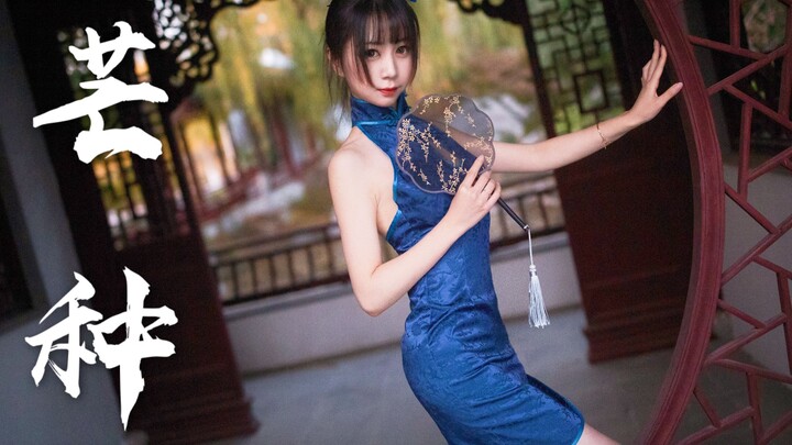 【小葫芦】 芒种 // 竖屏版一镜到底❤满屏都是快乐