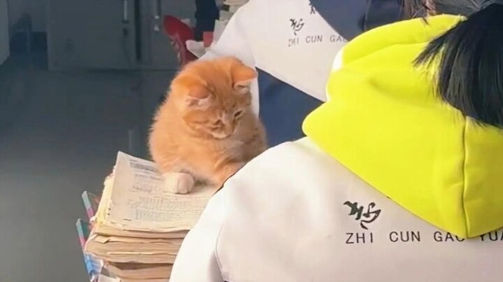 ❤️ Thế giới nát tan, chúng ta cùng nhau khâu vá nhé ❤️