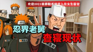 忍界老舅查寝现状