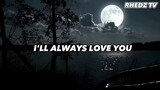 I'LL ALWAYS LOVE YOU | Lyrics Video | [ Michael Johnson] | Cover by Gigi De Llana |
