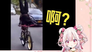 日本萝莉看《第一视角旅游见闻》看到各种逆天行为 当场裂开