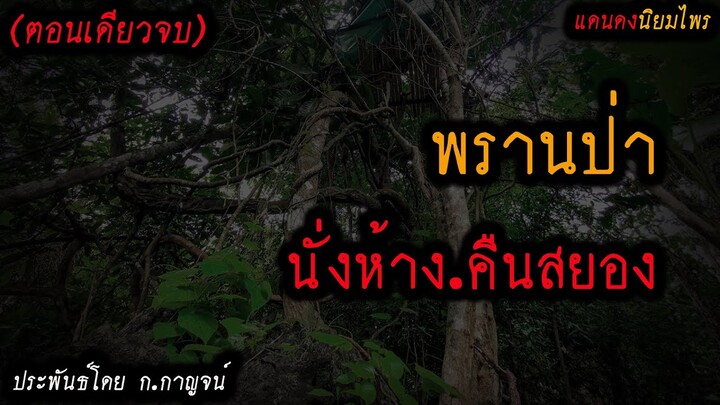 พรานป่า..นั่งห้างคืนสยอง!! (ตอนเดียวจบ) l แดนดง นิยมไพร