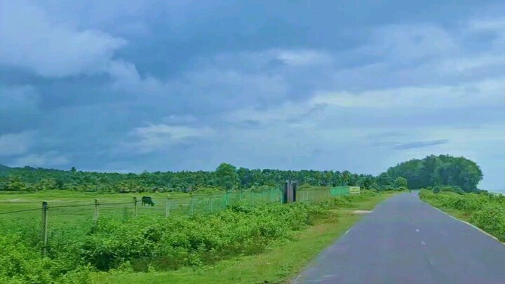 long drive with you